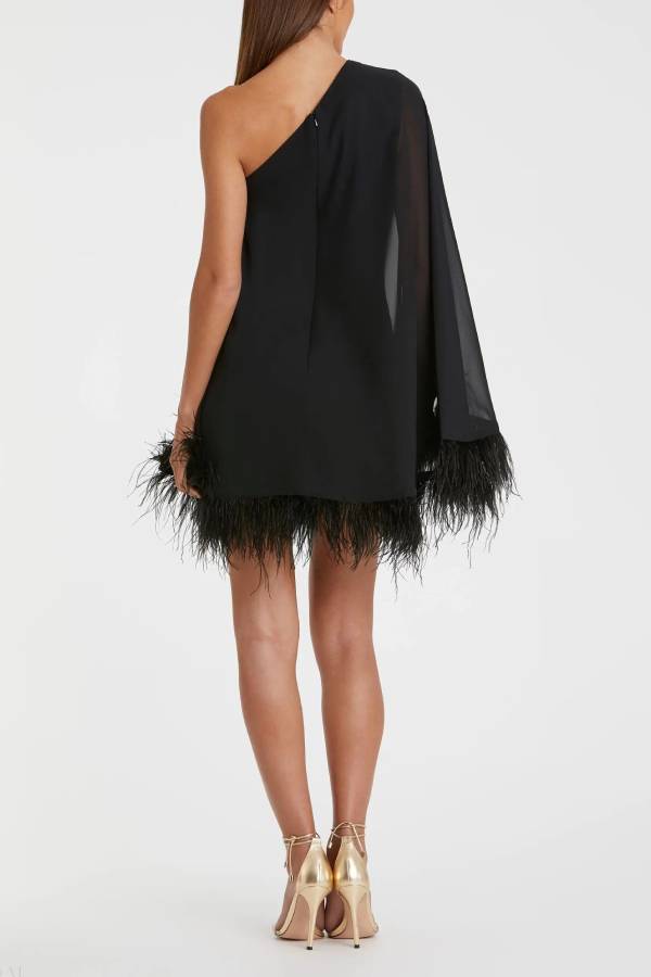 Black One Shoulder Trapeze Dress with Feather Trim