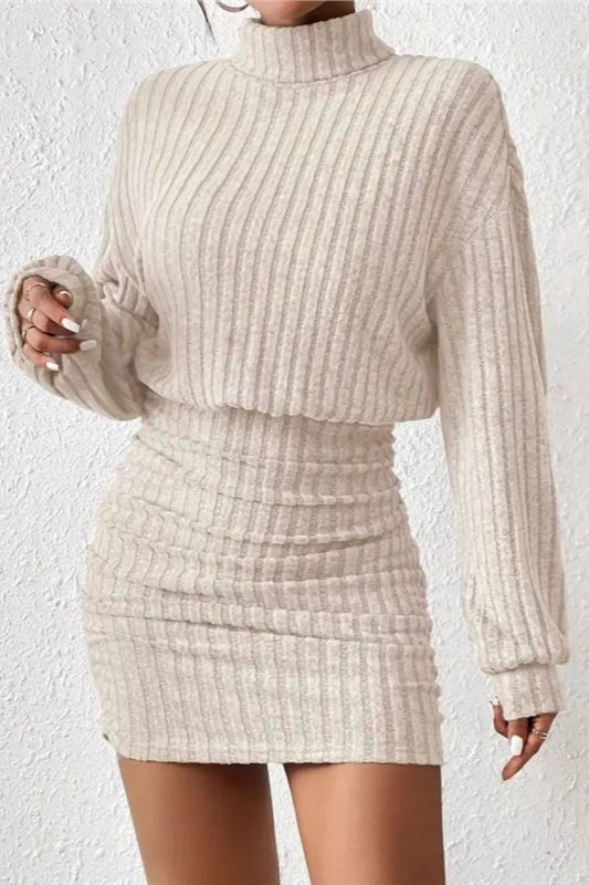 Knit Turtleneck Long Sleeve Bodycon Sweater Dress