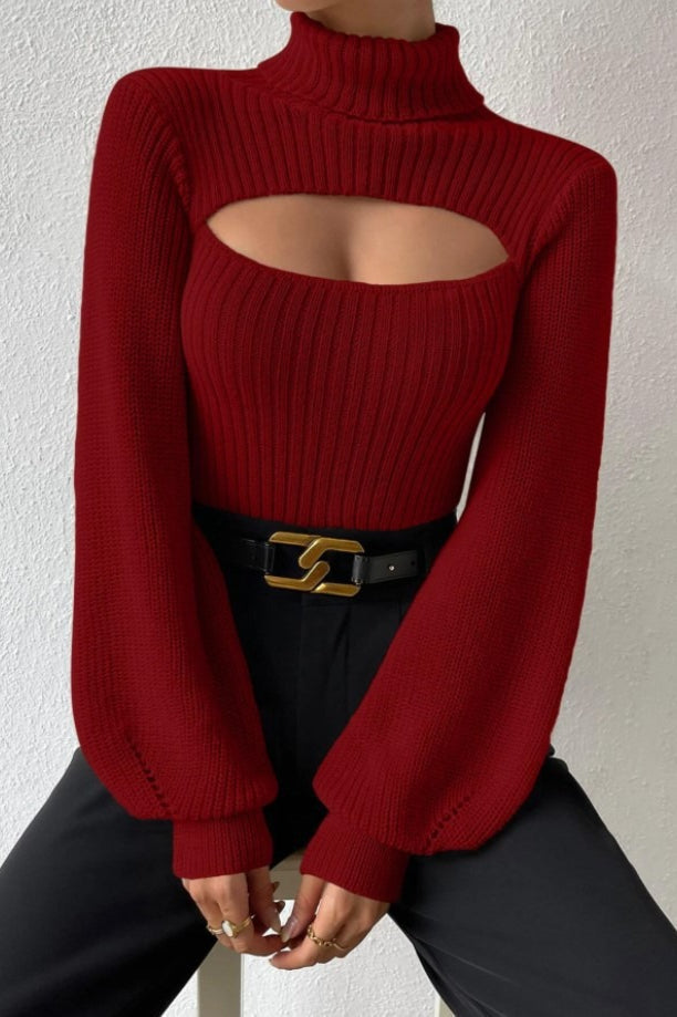 Turtleneck Fitted Sweater