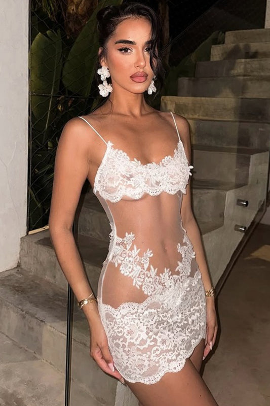 Sheer Lace Patchwork Bodycon Mini Dress