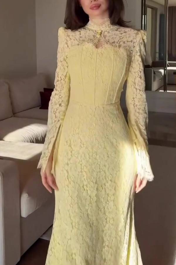 Multi-Color Stand Collar Lace Backless Tie Mermaid Maxi Dress