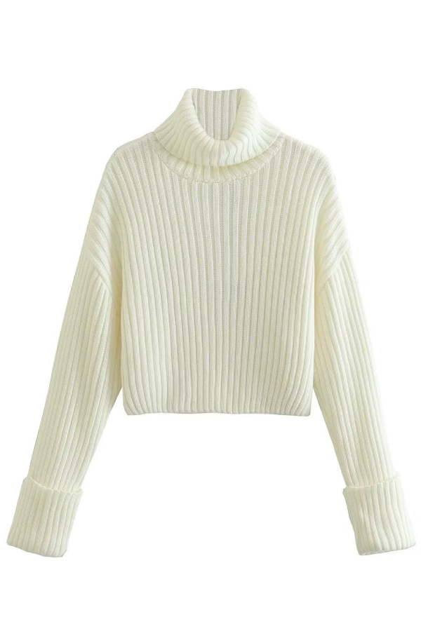 Ribbed Turtleneck Sweater
