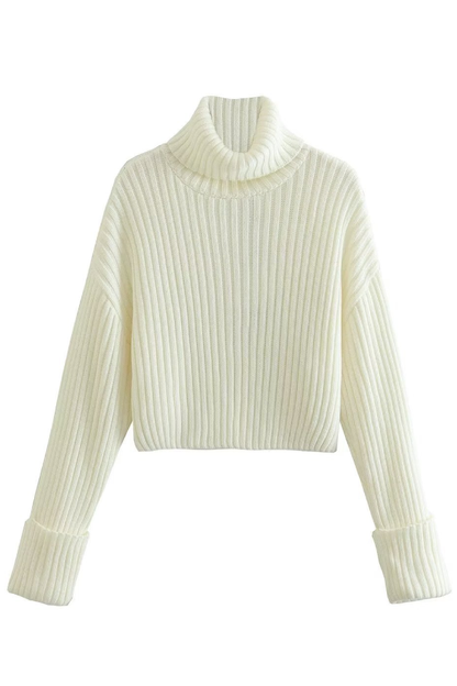 Ribbed Turtleneck Sweater