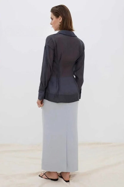Sheer Slim Button Front Elegant Versatile Long Sleeve Blouse