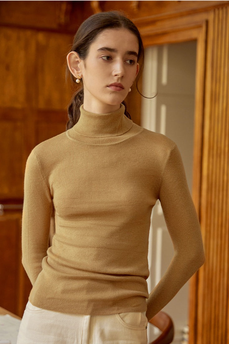 Wool Turtle Neck Slim Knit Top