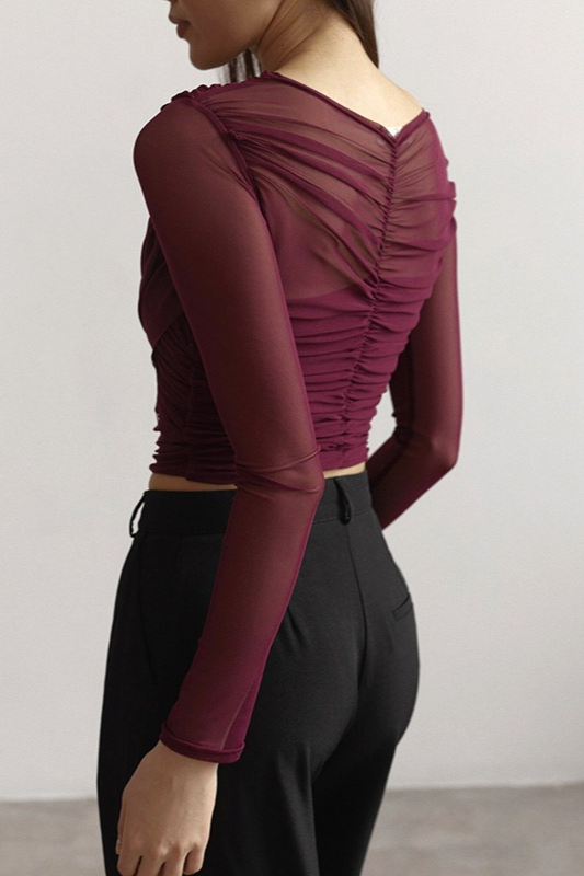 Solid Mesh Ruched Long Sleeve Crop Top