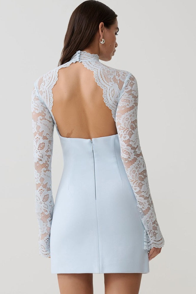 Strapless Lace Panel Sheer Backless Bodycon Lace Dress