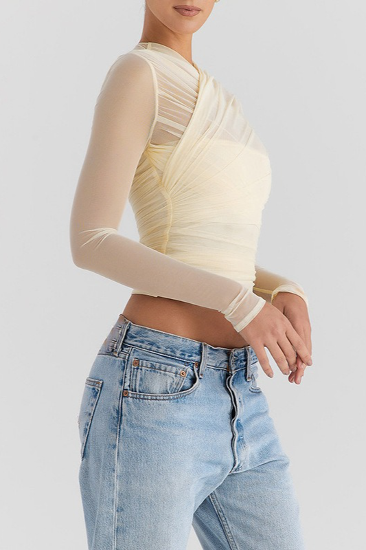 Sheer Mesh Paneled Zipper Long Sleeve Slim Crop Top