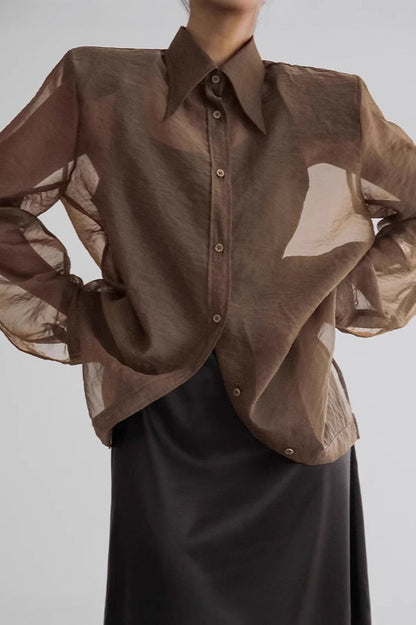 Sheer Mesh Long Sleeve Shoulder Pad Blouse