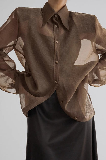 Elegant Sheer Long Sleeve Blouse