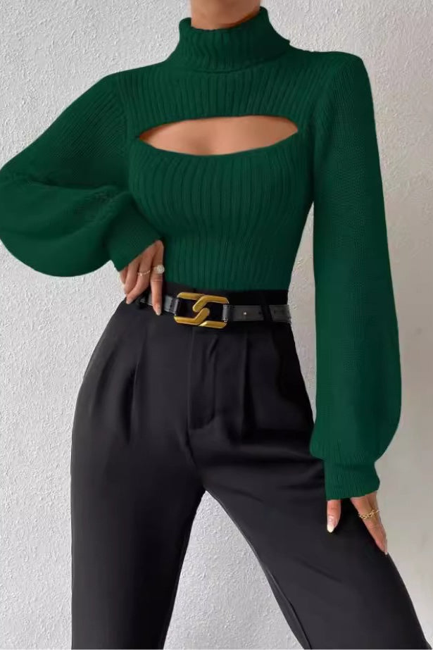 Turtleneck Fitted Sweater