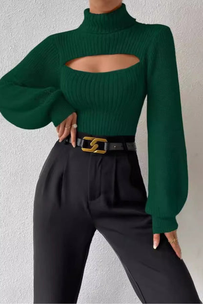 Turtleneck Fitted Sweater