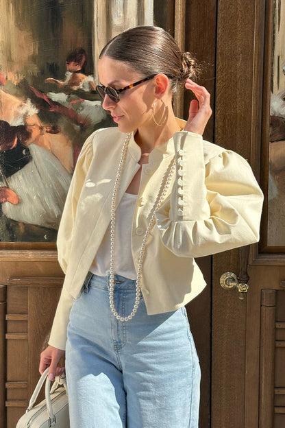 Elegant Mandarin Collar Blouse
