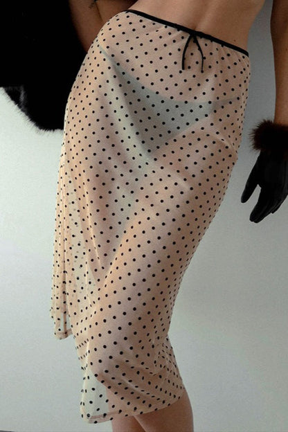 Low Rise Sheer Mesh Polka Dot A Line Skirt