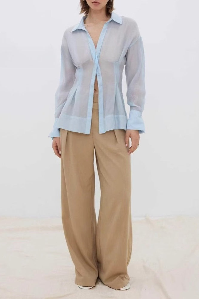 Sheer Slim Button Front Elegant Versatile Long Sleeve Blouse