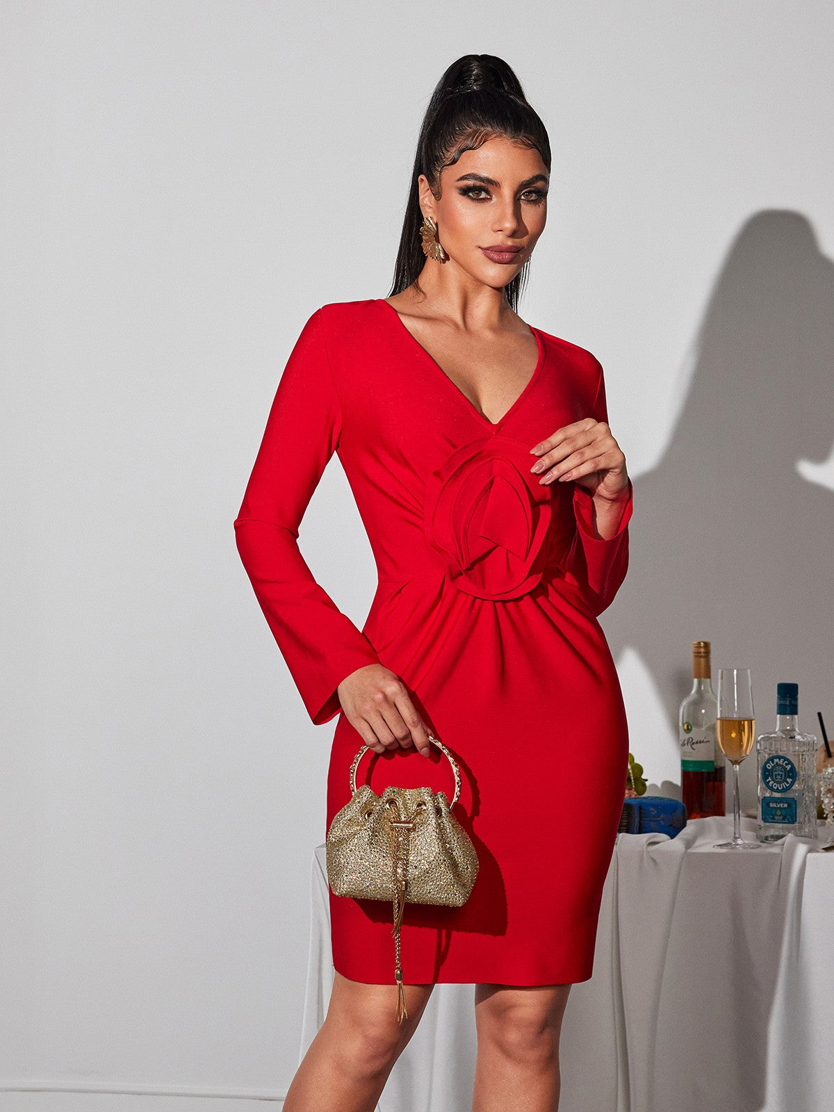 Deep V-Neck Long Sleeve 3D Applique Bodycon Mini Dress