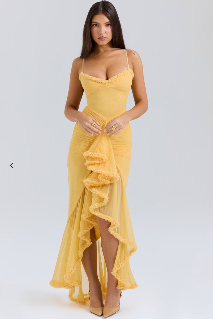Soreya Ruffled Maxi Dress