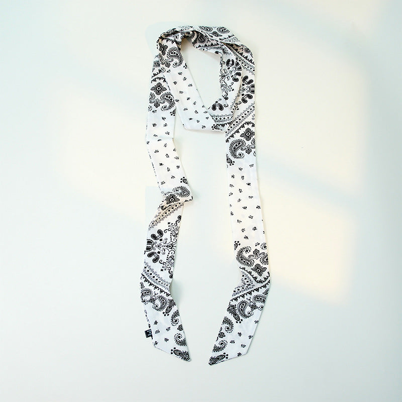 Paisley Print Skinny Narrow Neck Ribbon Scarf