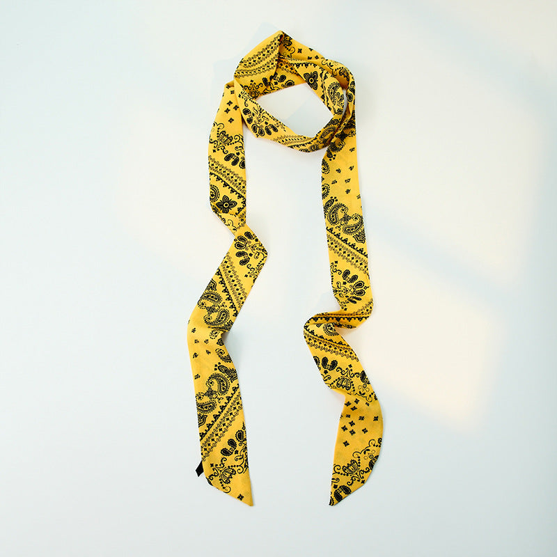 Paisley Print Skinny Narrow Neck Ribbon Scarf