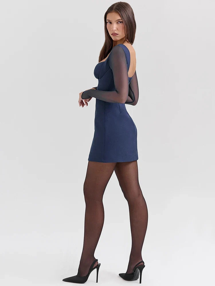 Sheer Plunge Neck Backless Club Mini Dress
