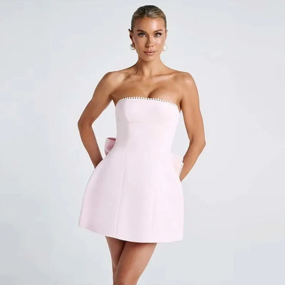 Pearl Trim Neckline Princess Seam Oversized Bow Back Fit and Flare Mini Dress