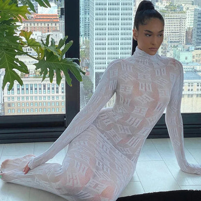 Sheer Sleeve Bodycon Long Party Dress