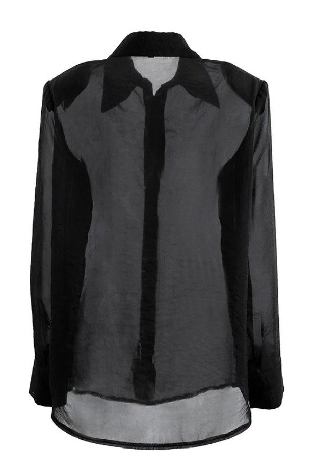 Sheer Mesh Long Sleeve Shoulder Pad Blouse