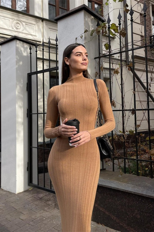 Stripe Turtleneck Knit Long Sleeve Bodycon Dress
