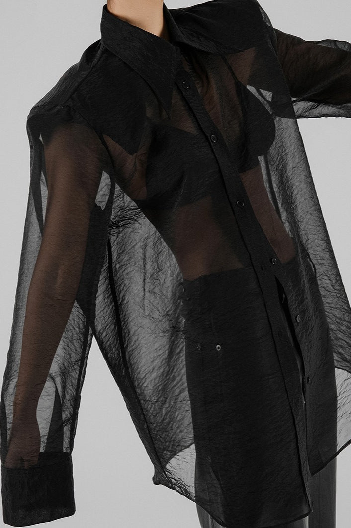 Sheer Mesh Long Sleeve Shoulder Pad Blouse