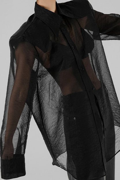 Sheer Mesh Long Sleeve Shoulder Pad Blouse