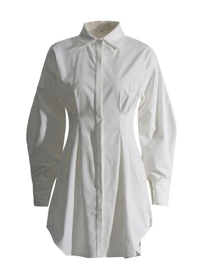 Puff Sleeve Pleated Waist Hidden Button Shirt Mini Dress