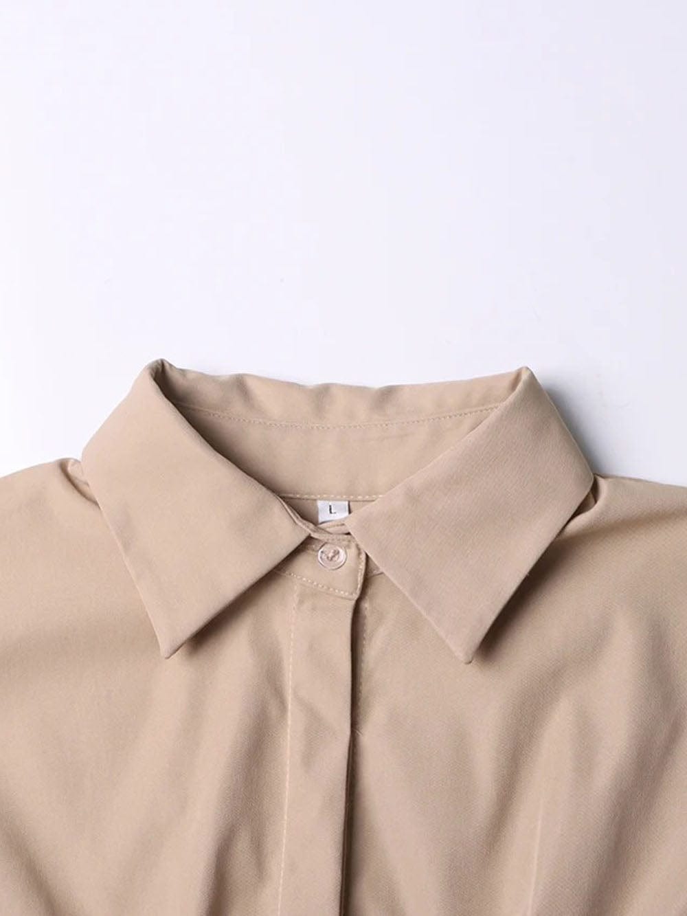 Puff Sleeve Pleated Waist Hidden Button Shirt Mini Dress