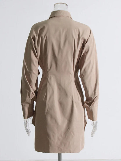 Puff Sleeve Pleated Waist Hidden Button Shirt Mini Dress