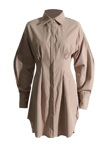 Puff Sleeve Pleated Waist Hidden Button Shirt Mini Dress