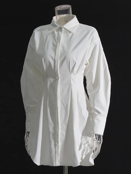 Puff Sleeve Pleated Waist Hidden Button Shirt Mini Dress