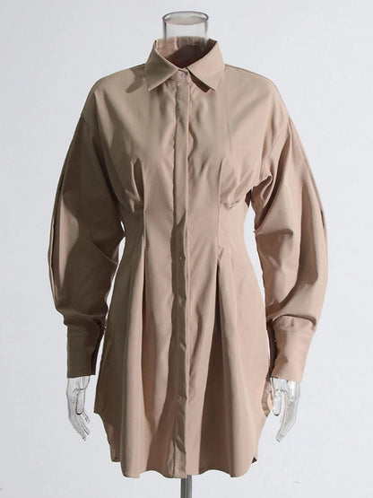 Puff Sleeve Pleated Waist Hidden Button Shirt Mini Dress
