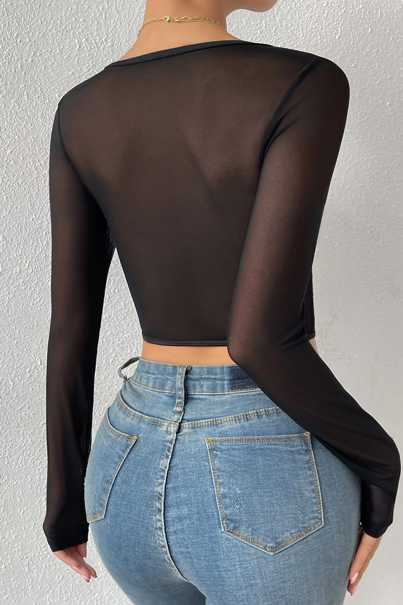 Lace Sheer Mesh Boned Buttoned V Neck Crop Top