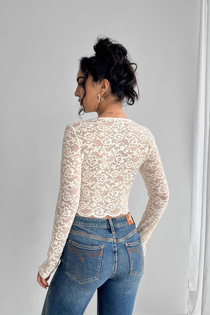 Solid Lace V Neck Long Sleeve Chic Crop Top