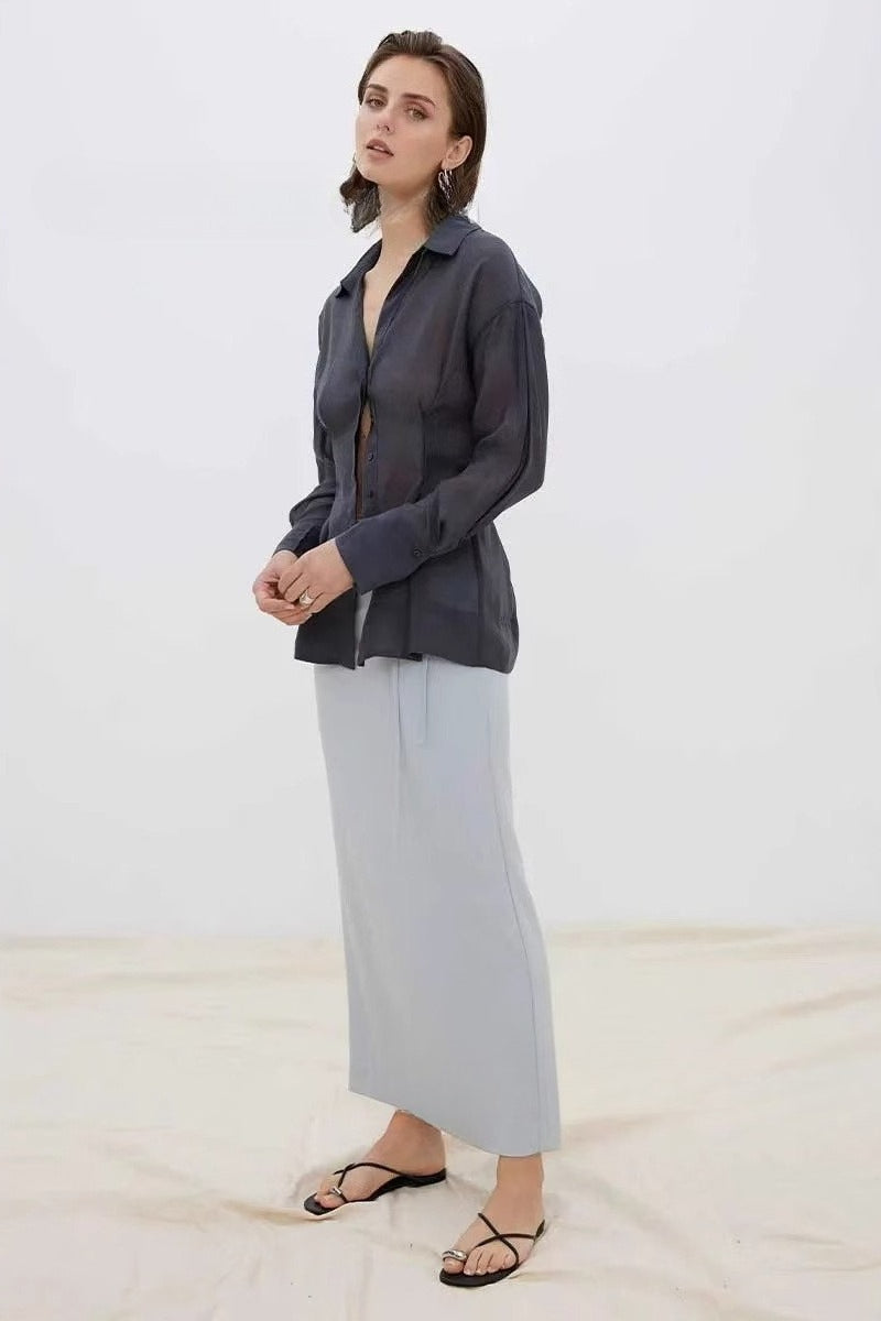 Sheer Slim Button Front Elegant Versatile Long Sleeve Blouse