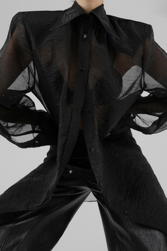 Sheer Mesh Long Sleeve Shoulder Pad Blouse