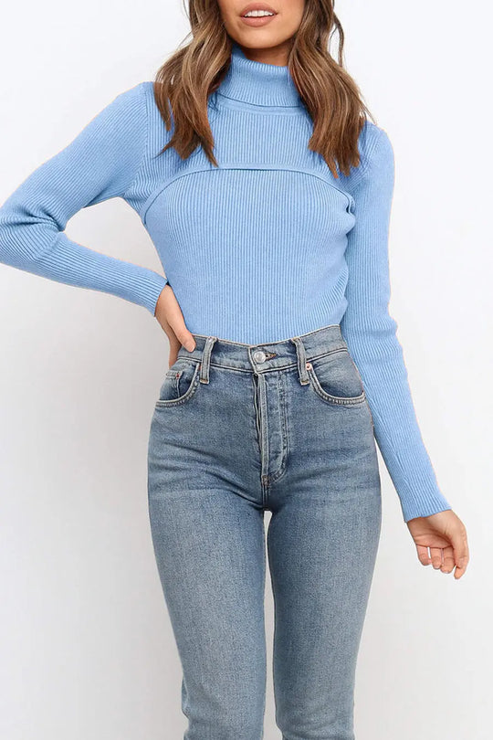 Turtleneck Bodycon Long Sleeves Knit Sweater