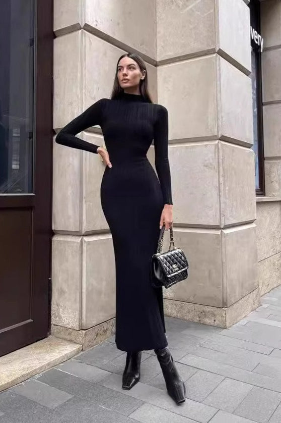 Stripe Turtleneck Knit Long Sleeve Bodycon Dress