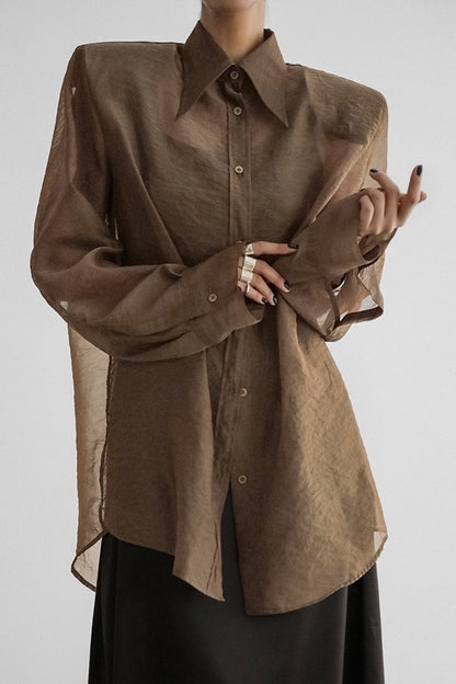 Sheer Mesh Long Sleeve Shoulder Pad Blouse