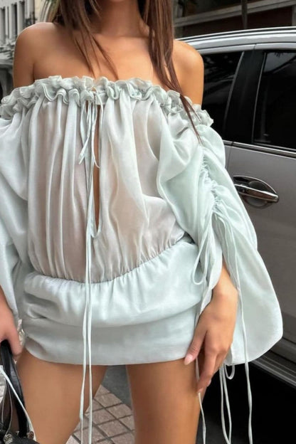 Off Shoulder Mesh Long Sleeve Top