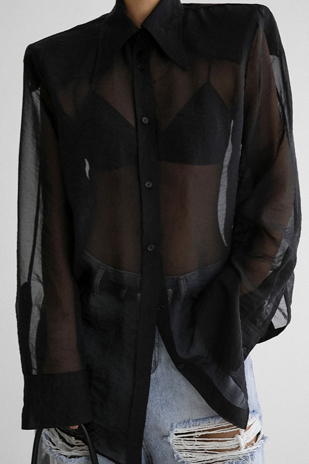 Sheer Mesh Long Sleeve Shoulder Pad Blouse