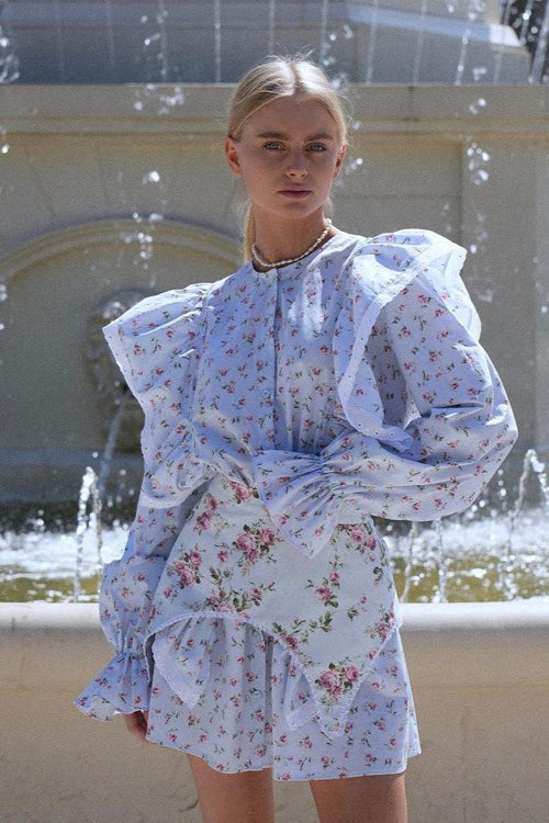 Romantic Ruffled Long Sleeve Mini Floral Dress