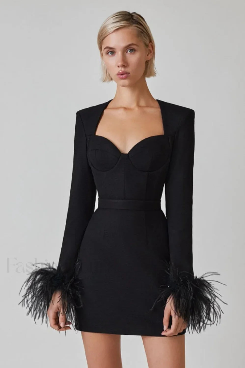 Feather Long Stylish Sleeve Bustier Dress