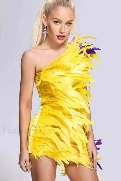 Paislee Asymmetric Stylish Feather Mini Dress