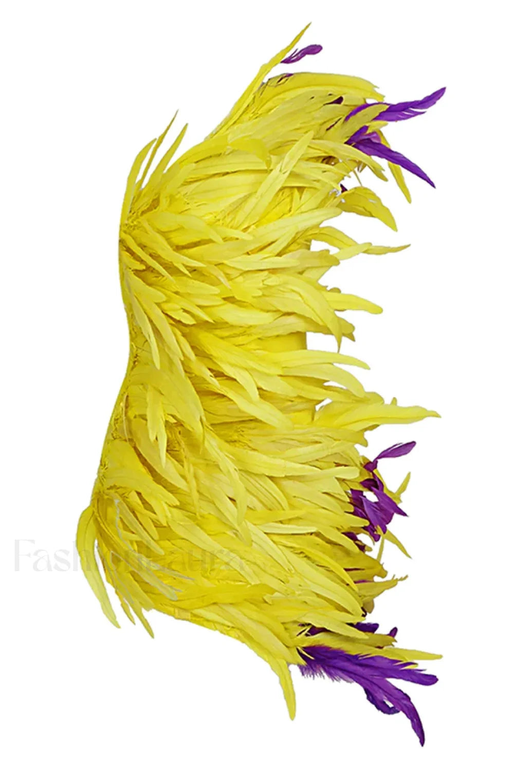 Paislee Asymmetric Stylish Feather Mini Dress